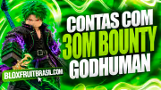 Conta Blox Fruits com 30M Bounty