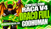 Conta Blox Fruits com Raça Draco V4 Full Gear
