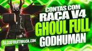 Conta Blox Fruits com Raça Ghoul V4 Full Gear