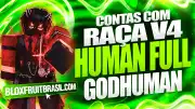 Conta Blox Fruits com Raça Human V4 Full Gear