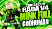 Conta Blox Fruits com Raça Mink V4 Full Gear