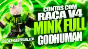 Conta Blox Fruits com Raça Mink V4 Full Gear