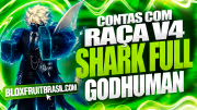 Conta Blox Fruits com Raça Shark V4 Full Gear