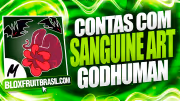 Conta Blox Fruits com Sanguine Art