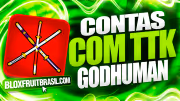 Conta Blox Fruits com True Triple Katana (TTK)