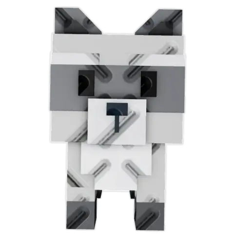 RACCOON