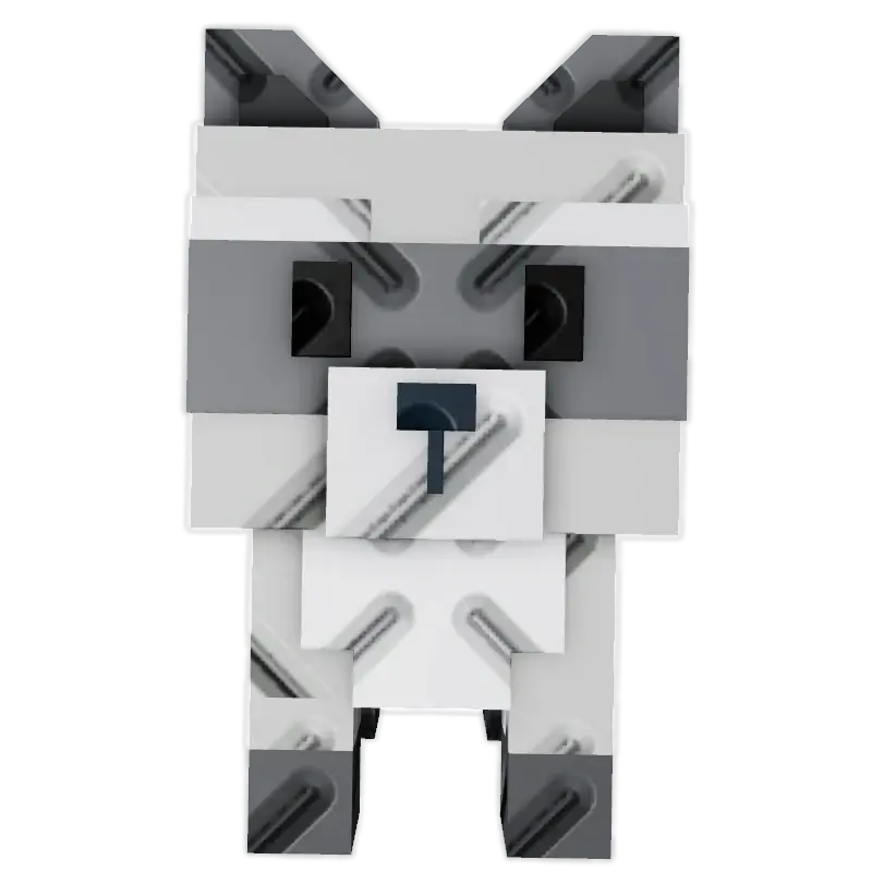 RACCOON